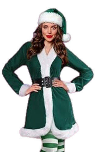 Mrs Santa Claus Costume