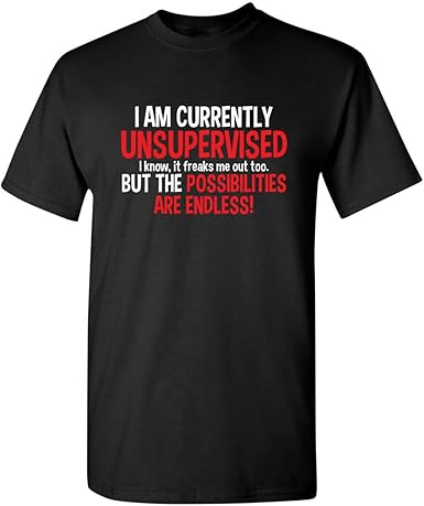 I'm Currently Unsupervised Funny T-Shirt
