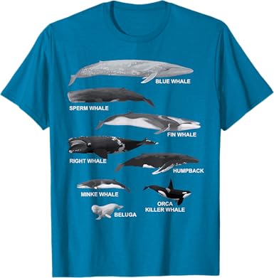 Types of Whales T-Shirt - jnjjackets