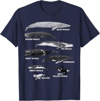 Types of Whales T-Shirt - jnjjackets