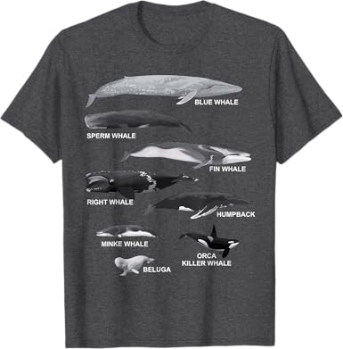 Types of Whales T-Shirt - jnjjackets