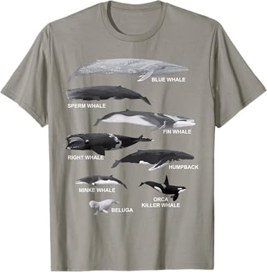 Types of Whales T-Shirt - jnjjackets