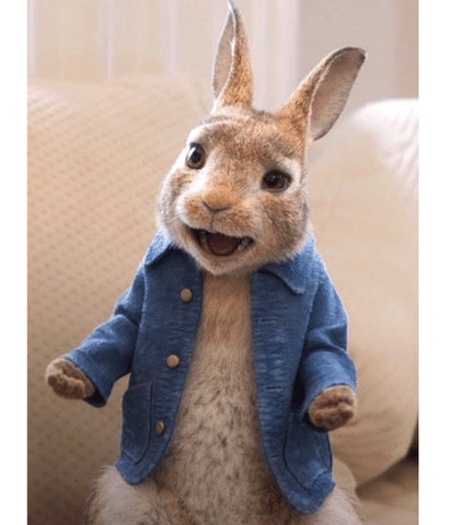 Peter Rabbit 2 Blue Jacket – Stylish Unisex Movie-Inspired Wear